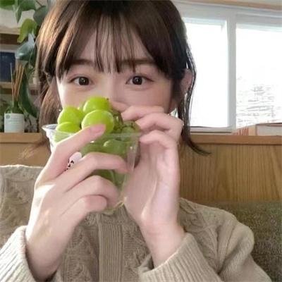 故剑长情